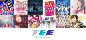 T&E Corporation