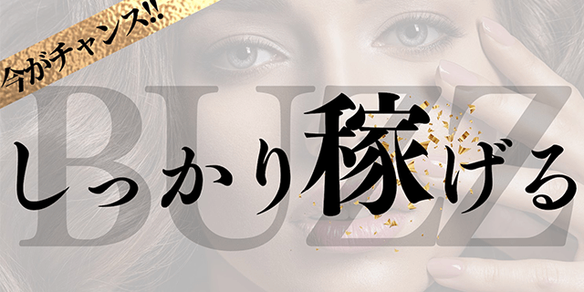 しっかり稼げる